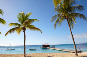 Antilles - Caraïbes