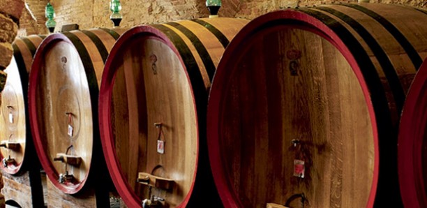 Italie gourmande et ses vignobles